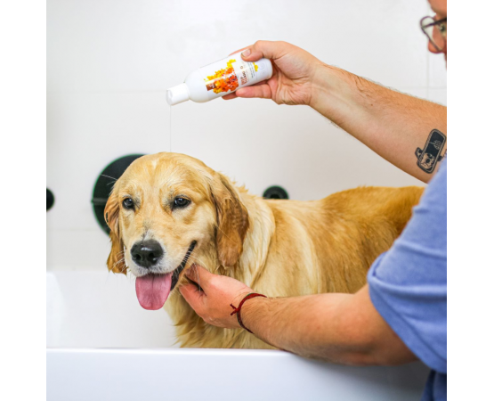 szampon głęboko czyszczący dla psa artykuł